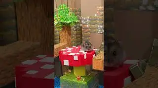 Hamster vs Granny in the Minecraft Dungeons - Soggy Swamp 🐹 Homura Ham Pets