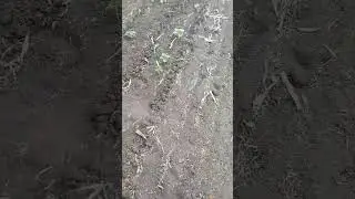 Фермери на лінії фронту