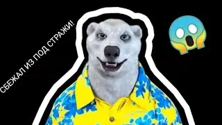 ходилкин-бродилкин сбежал из под стражи!