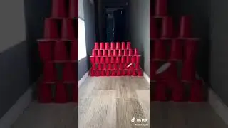 TIK TOK DE ALEJO IGOA #1