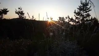Солнце в траве заката