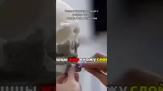 Реконструкция лица  с фермы тел к раскрытию убийства