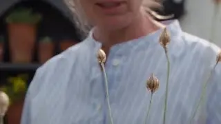 Clare Foster's Diverse & Home-Grown Botanical Paradise