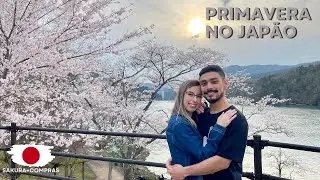 MAGIA da primavera JAPONESA 🌸 + Compras da Semana