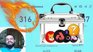 🔥До Халвинга 316 дней, Чего ждать ?🔥 Портфель на 5  миллионов 💲 !