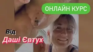 Онлайн курс по доїнню корови від Даші Євтух - Частина 1. Готовим дійти до дойки.