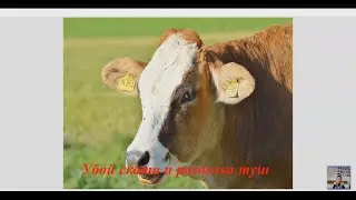 Вебинар «Технология производства мясных продуктов»