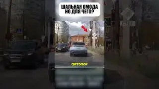 Зачем гнать, когда ты тормоз? 🧠🚗💥