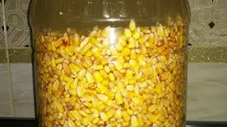 ФЕРМЕНТИРОВАННАЯ КУКУРУЗА. ПЬЯНАЯ КУКУРУЗА.Убойный рецепт.  