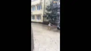 Сочи, первые происшествия