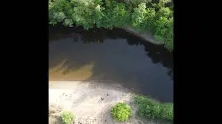 Пляж у лесной реки