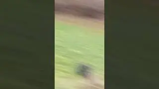 выживание с @catblits