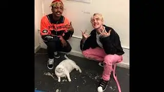 [FREE] Lil Peep x Lil Tracy x Nedarb Type Beat "No Signal"