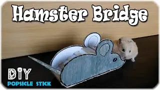 DIY Hamster toys.  Bridge mouse for a hamster.  Hamster Bridge