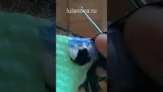 Как связать крючком РЕСНИЦЫ глаза дракона на бутылку шампанского crochet #драконкрючком