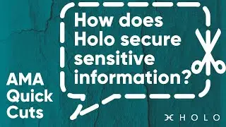 How does Holo protect against hosts accessing sensitive information?
