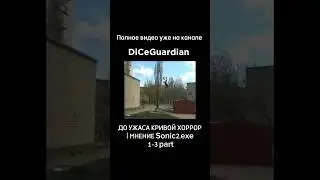 #sonic