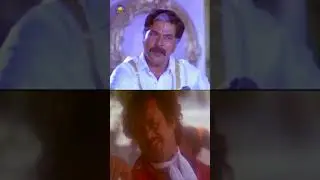#MammoottySongs | Sangeetha Sahitya Song | Singarala Pairullona Song | #youtubeshorts | Mango Music