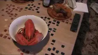 рак. большой рак.