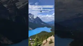 За 3 дня в Канаде : 5 медведей , 20 горных коз, 100 белок и бурундучков ❤️🐿️🐻🐐 #love