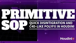 Houdini: Primitive SOP for Disintegration and PolyFX