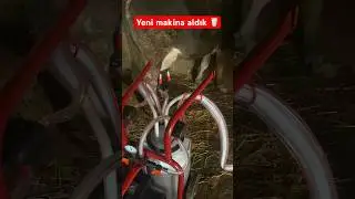 Süt sağım makinesi #besici #buzağı #inekbakımı #süt #inek #kurbanlıklarsatışta #cowvideos #horoz