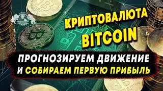 Криптовалюта - Bitcoin. Прогнозируем движение и собираем первую прибыль