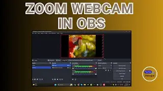 How to Zoom My Webcam in OBS
