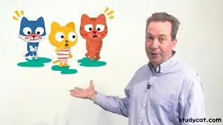 Studycat - Virtual 2020 GSV Cup, September 2020