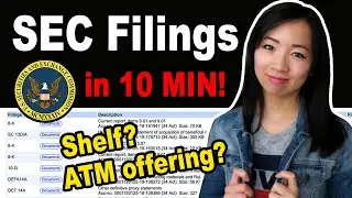 How to read SEC Filings - Penny stock offerings $NERV