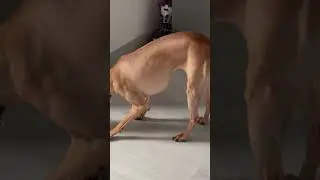 Похудела к маю. А вы?