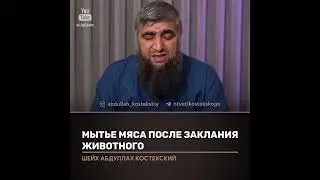Можно ли мыть мясо после закалывания животного? Шейх Абдуллах Костекский