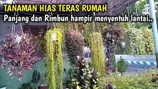 Teras rumah cantik penuh tanaman hias gantung bikin sejuk dan adem