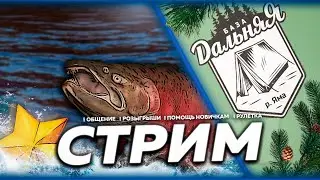 ⭐СТРИМ РР4 | ЧАВЫЧА - БОЛЬ или МЕЧТА ?! | 🎁 Призы В Рулетке!