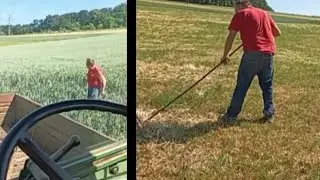 Сегодня полевые работы/// последний вывод Цыплят в этом сезоне.