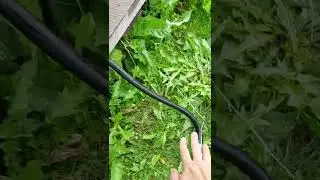 как слить воду из бассейна без насоса