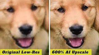 My SECRET WEAPON for Enlarging low-res Photos