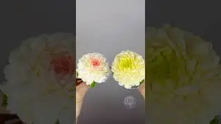 Скоро обучение! 21 Мая старт курса