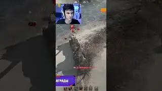 БАГ В СТАЛЬНОМ ОХОТНИКЕ #nearyou #миртанков #wot #shorts #worldoftanks