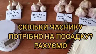 HOW MUCH garlic does it take to plant? COUNTING