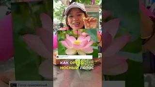 Съел бы? #путешествия