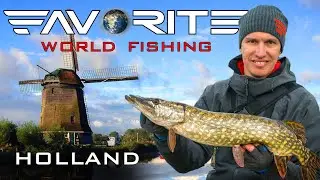 Щука, судак и МНОГО ОКУНЯ на спиннинг. Где искать рыбу в Голландии? Favorite World Fishing.