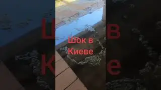 На болотах всё стабильно