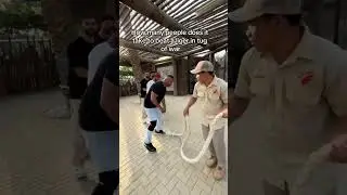THE WHOLE FAM WAS NOT STRONG ENOUGH! 