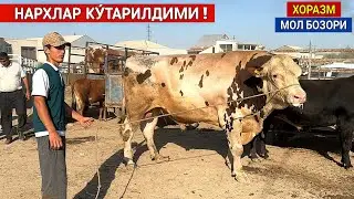 ХОРАЗМ МОЛ БОЗОРИ НАРХЛАР КАНДАЙ БУ́ЛЯПТИ ЭРТАЛАБГИ САВДОЛАР БУГУН БОЗОР ТУ́ЛДИ !!! ХОРАЗМ БОЗОР