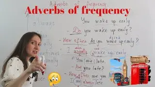 Basic English Grammar. Adverbs of frequency. Lesson #4