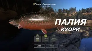 🐠Russian Fishing 4 /Русская рыбалка 4 ▶🐟 о. Куори Палия как закрыть задание без живца🐟