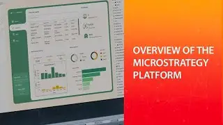 Overview of The MicroStrategy Platform