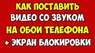 Как поставить видео на обои телефона андроид и айфон 👉 Видео обои со звуком\музыкой на андроид 2021