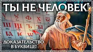 Слово ЧЕЛОВЕК - Разбор по буквице! Невероятный результат толкования! ОСОЗНАНКА